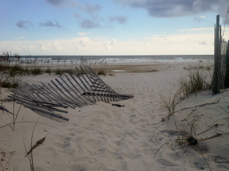 Beach Fence (2)